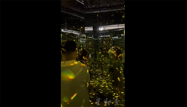 新媒體沉浸式藝術裝置